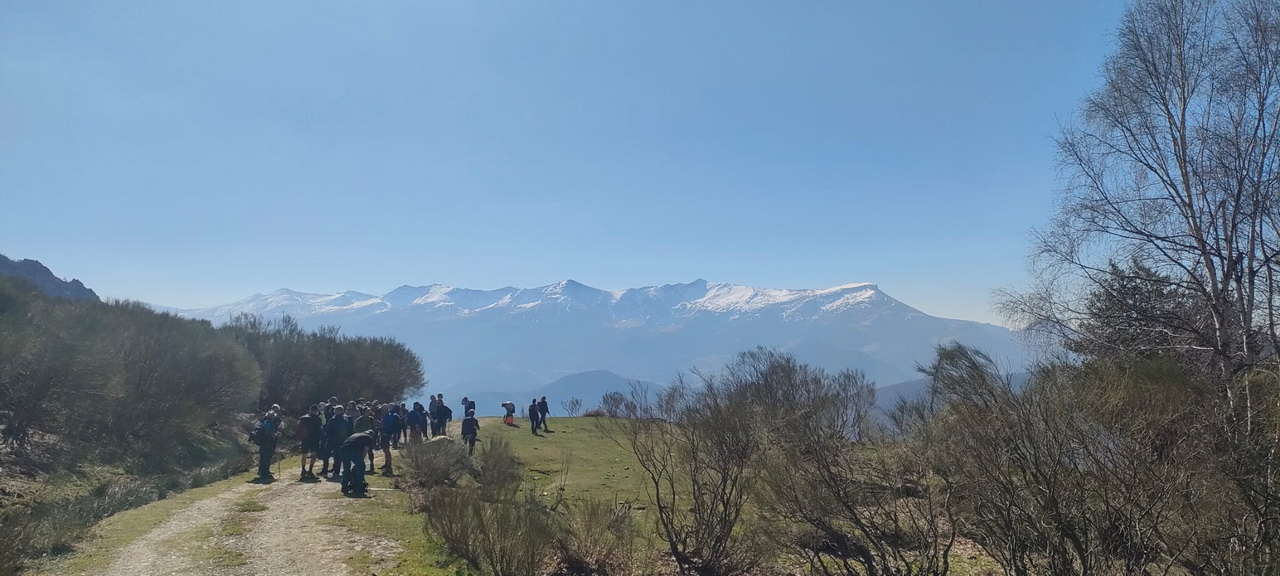 WhatsApp Image 2026-03-23 at 08.13.59 (1)